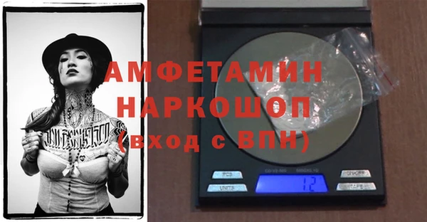 индика Волосово