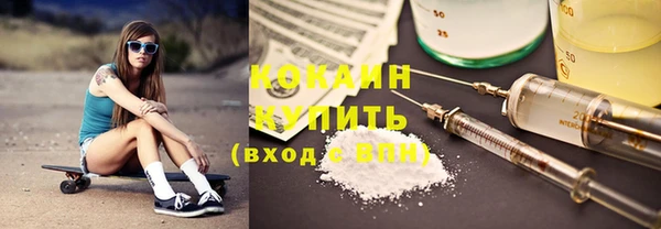индика Волосово