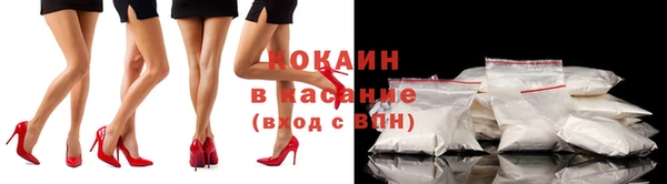 индика Волосово