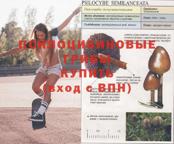 соль ск Волоколамск