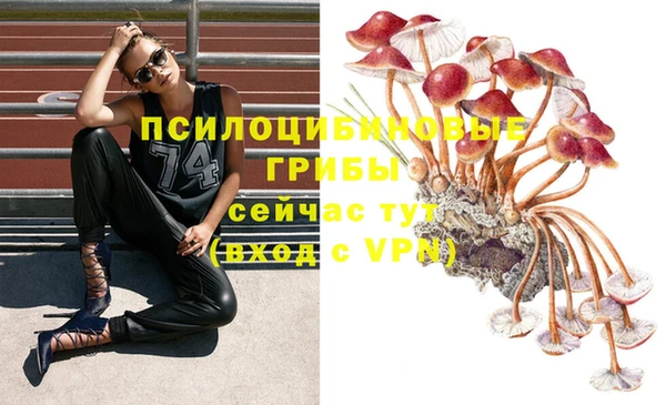 прущая мука Володарск