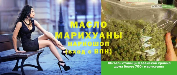 индика Волосово