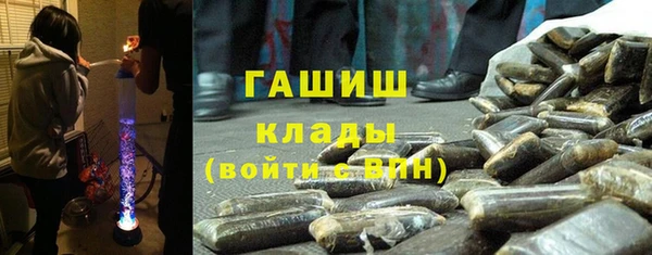 индика Волосово