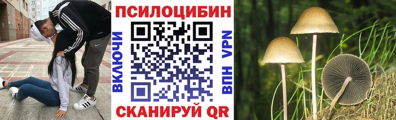 Псилоцибиновые грибы GOLDEN TEACHER Хасавюрт